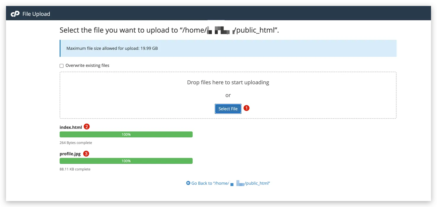 cPanel file upload screen