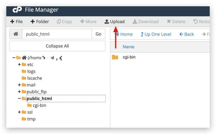 cPanel upload button pointer